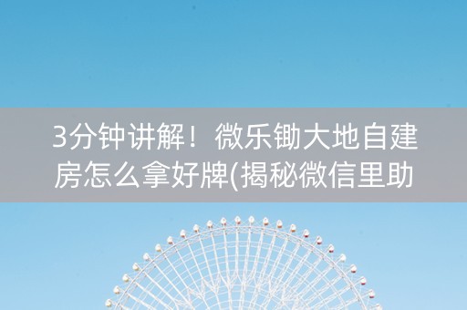 3分钟讲解！微乐锄大地自建房怎么拿好牌(揭秘微信里助攻神器)