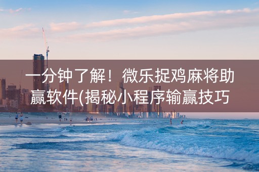 一分钟了解！微乐捉鸡麻将助赢软件(揭秘小程序输赢技巧)