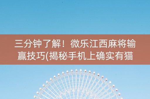 三分钟了解！微乐江西麻将输赢技巧(揭秘手机上确实有猫腻)