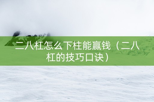 二八杠怎么下柱能赢钱（二八杠的技巧口诀）
