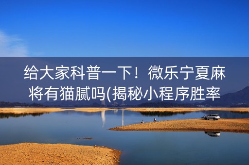 给大家科普一下！微乐宁夏麻将有猫腻吗(揭秘小程序胜率到哪调)