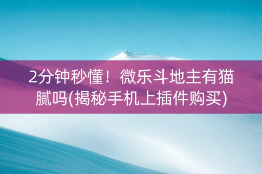 2分钟秒懂！微乐斗地主有猫腻吗(揭秘手机上插件购买)