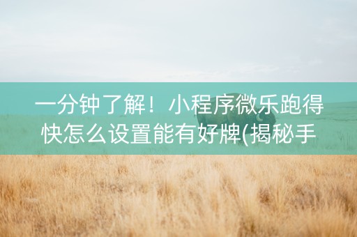 一分钟了解！小程序微乐跑得快怎么设置能有好牌(揭秘手机上插件下载)