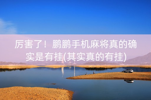 厉害了！鹏鹏手机麻将真的确实是有挂(其实真的有挂)