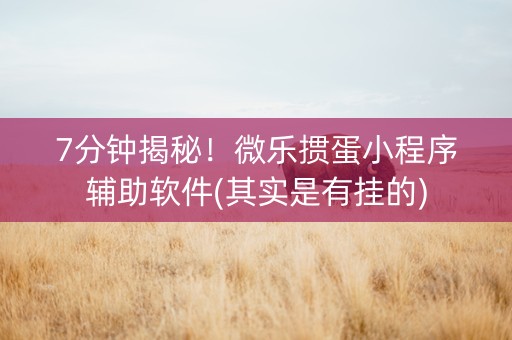 7分钟揭秘！微乐掼蛋小程序辅助软件(其实是有挂的)