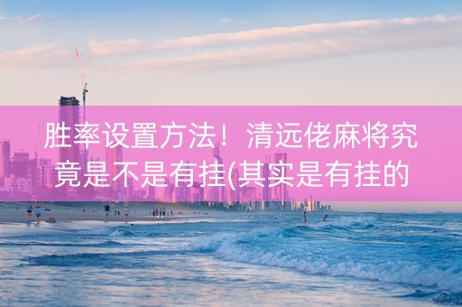 胜率设置方法！清远佬麻将究竟是不是有挂(其实是有挂的)
