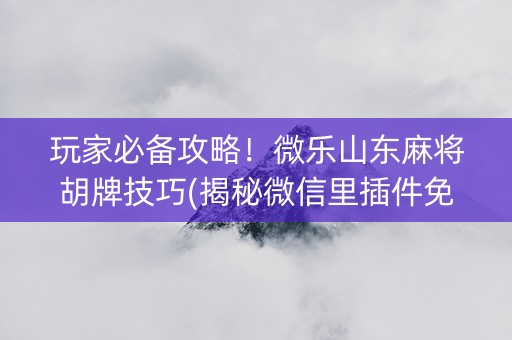 玩家必备攻略！微乐山东麻将胡牌技巧(揭秘微信里插件免费)