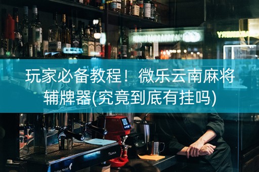玩家必备教程！微乐云南麻将辅牌器(究竟到底有挂吗)