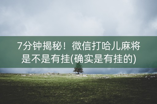 7分钟揭秘！微信打哈儿麻将是不是有挂(确实是有挂的)