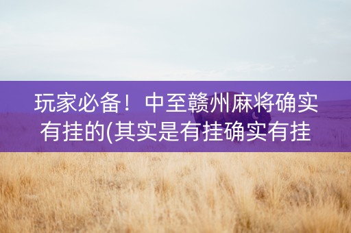 玩家必备！中至赣州麻将确实有挂的(其实是有挂确实有挂)