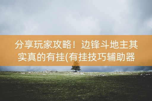 分享玩家攻略！边锋斗地主其实真的有挂(有挂技巧辅助器)