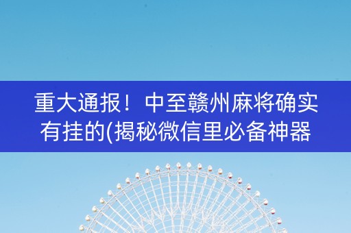 重大通报！中至赣州麻将确实有挂的(揭秘微信里必备神器)
