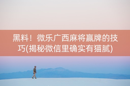 黑料！微乐广西麻将赢牌的技巧(揭秘微信里确实有猫腻)