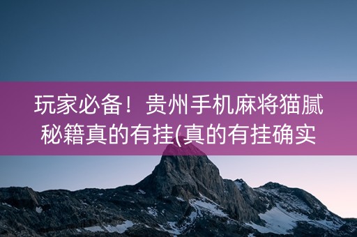 玩家必备！贵州手机麻将猫腻秘籍真的有挂(真的有挂确实有挂)