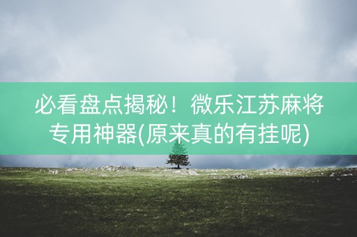 必看盘点揭秘！微乐江苏麻将专用神器(原来真的有挂呢)