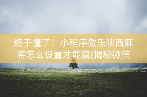 终于懂了！小程序微乐陕西麻将怎么设置才能赢(揭秘微信里胜率到哪调)