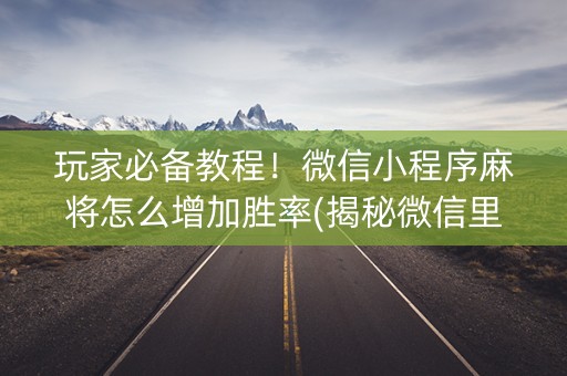 玩家必备教程！微信小程序麻将怎么增加胜率(揭秘微信里必备神器)