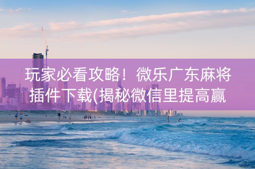 玩家必看攻略！微乐广东麻将插件下载(揭秘微信里提高赢的概率)