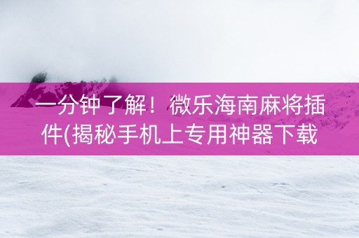 一分钟了解！微乐海南麻将插件(揭秘手机上专用神器下载)