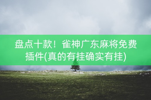 盘点十款！雀神广东麻将免费插件(真的有挂确实有挂)