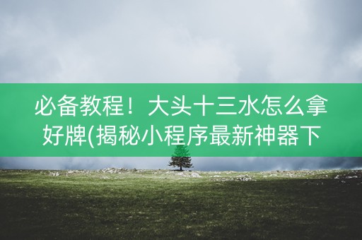 必备教程！大头十三水怎么拿好牌(揭秘小程序最新神器下载)