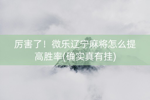 厉害了！微乐辽宁麻将怎么提高胜率(确实真有挂)