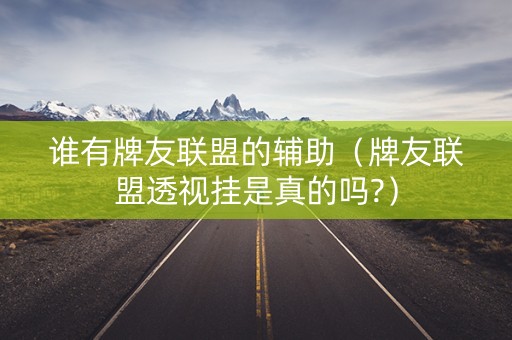 谁有牌友联盟的辅助（牌友联盟透视挂是真的吗?）
