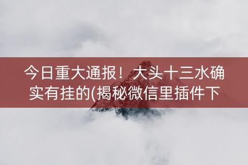 今日重大通报！大头十三水确实有挂的(揭秘微信里插件下载)