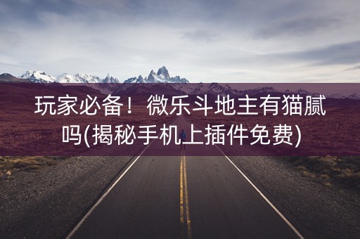 玩家必备！微乐斗地主有猫腻吗(揭秘手机上插件免费)