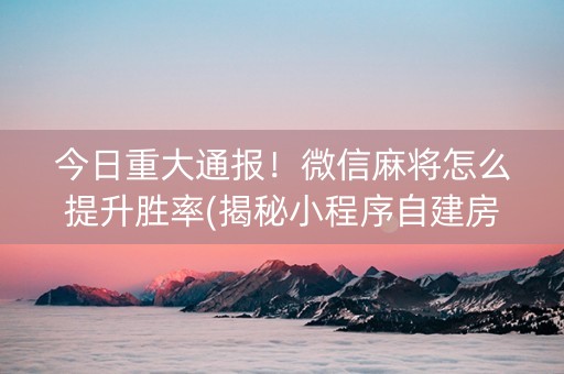 今日重大通报！微信麻将怎么提升胜率(揭秘小程序自建房怎么赢)
