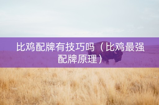 比鸡配牌有技巧吗（比鸡最强配牌原理）