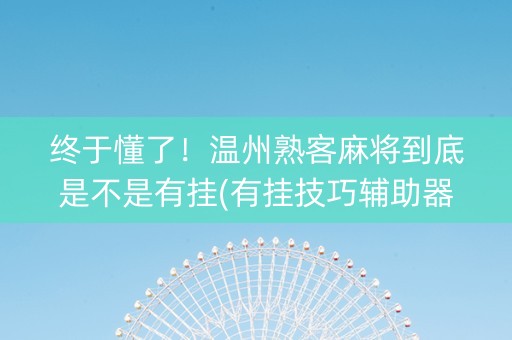 终于懂了！温州熟客麻将到底是不是有挂(有挂技巧辅助器)