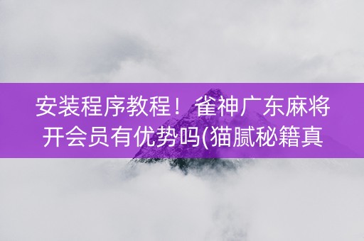 安装程序教程！雀神广东麻将开会员有优势吗(猫腻秘籍真的有挂)