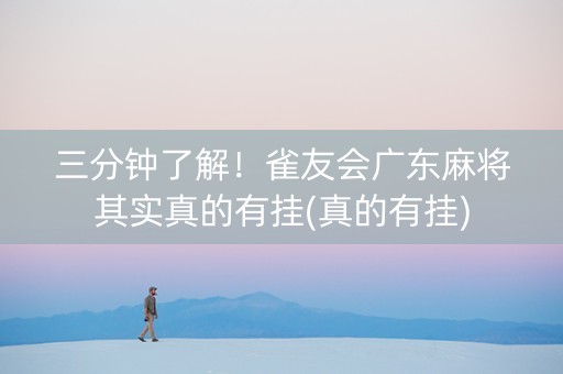 三分钟了解！雀友会广东麻将其实真的有挂(真的有挂)
