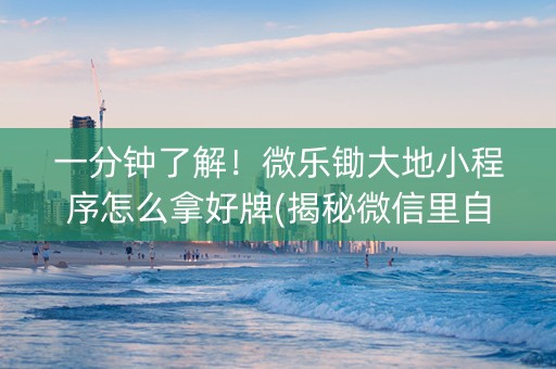 一分钟了解！微乐锄大地小程序怎么拿好牌(揭秘微信里自建房怎么赢)