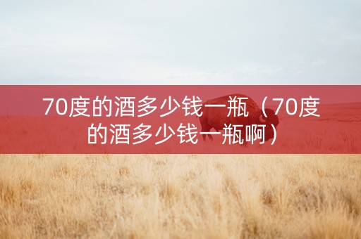 70度的酒多少钱一瓶（70度的酒多少钱一瓶啊）