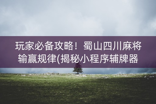 玩家必备攻略！蜀山四川麻将输赢规律(揭秘小程序辅牌器)