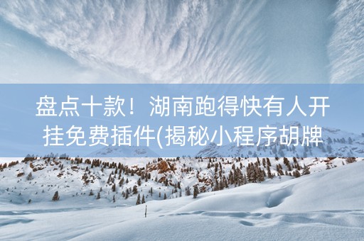 盘点十款！湖南跑得快有人开挂免费插件(揭秘小程序胡牌技巧)