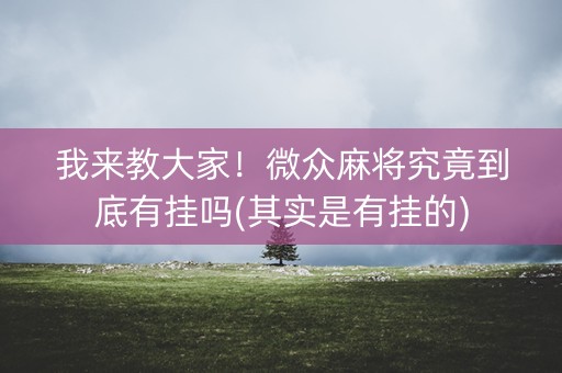 我来教大家！微众麻将究竟到底有挂吗(其实是有挂的)