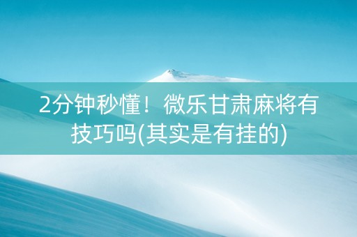 2分钟秒懂！微乐甘肃麻将有技巧吗(其实是有挂的)
