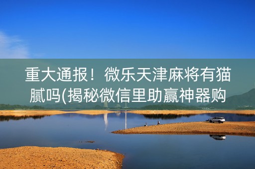 重大通报！微乐天津麻将有猫腻吗(揭秘微信里助赢神器购买)
