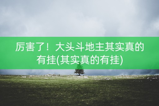 厉害了！大头斗地主其实真的有挂(其实真的有挂)