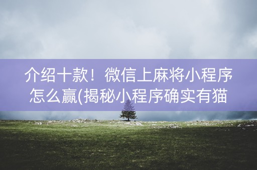介绍十款！微信上麻将小程序怎么赢(揭秘小程序确实有猫腻)