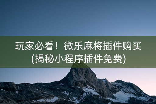 玩家必看！微乐麻将插件购买(揭秘小程序插件免费)