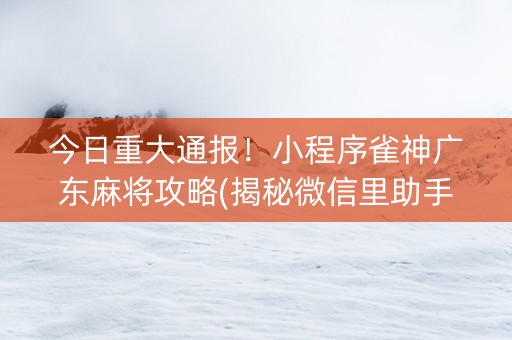 今日重大通报！小程序雀神广东麻将攻略(揭秘微信里助手软件)