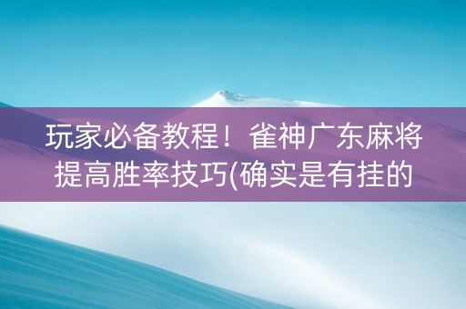 玩家必备教程！雀神广东麻将提高胜率技巧(确实是有挂的)