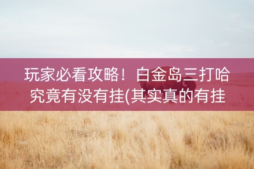 玩家必看攻略！白金岛三打哈究竟有没有挂(其实真的有挂)