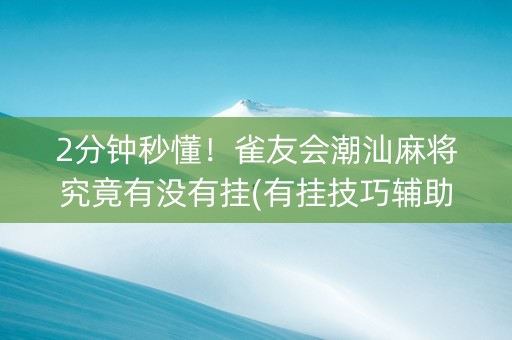 2分钟秒懂！雀友会潮汕麻将究竟有没有挂(有挂技巧辅助器)