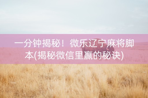 一分钟揭秘！微乐辽宁麻将脚本(揭秘微信里赢的秘诀)