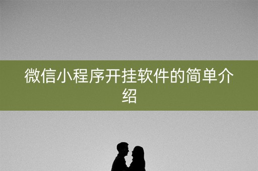 微信小程序开挂软件的简单介绍